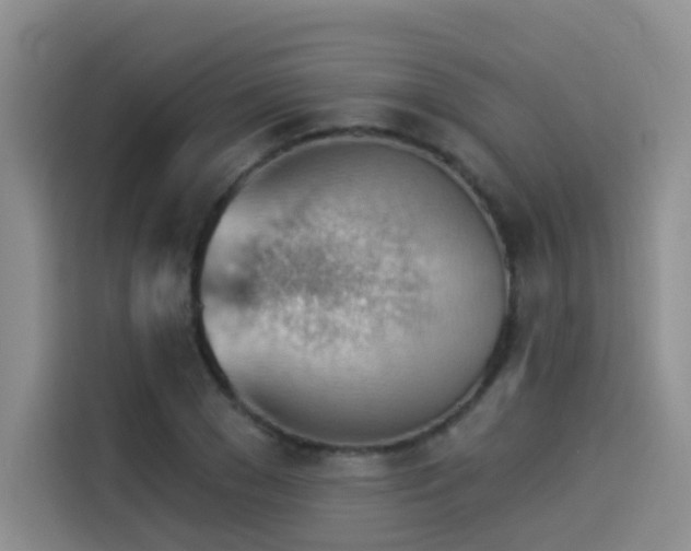 X0000114530977200910191318