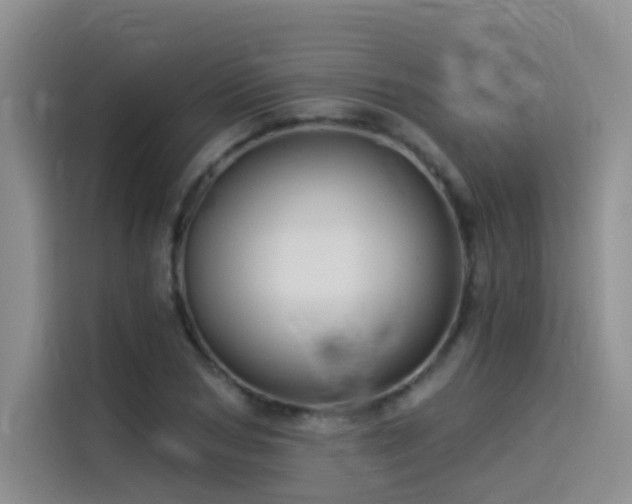 X0000114530978200910191318