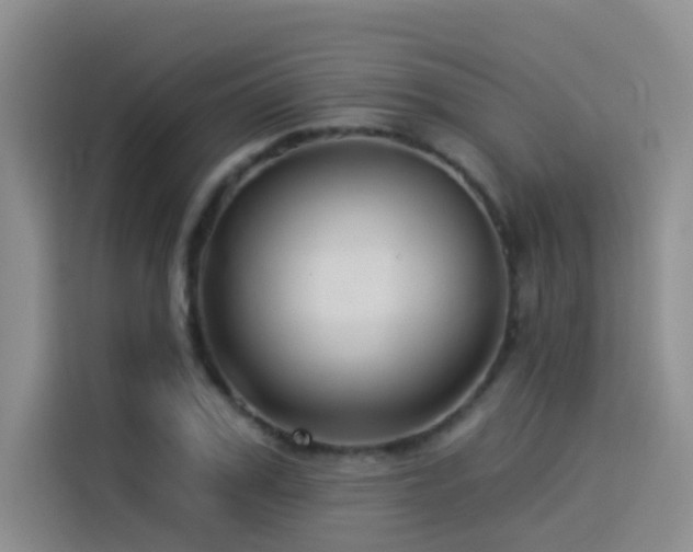 X0000114530979200910191318
