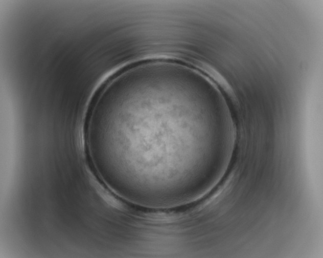 X0000114530980200910191318