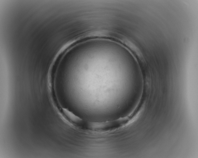 X0000114530981200910191318
