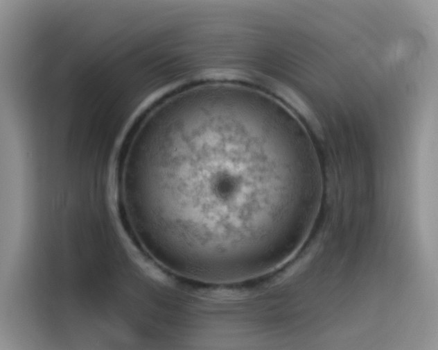 X0000114530984200910191318