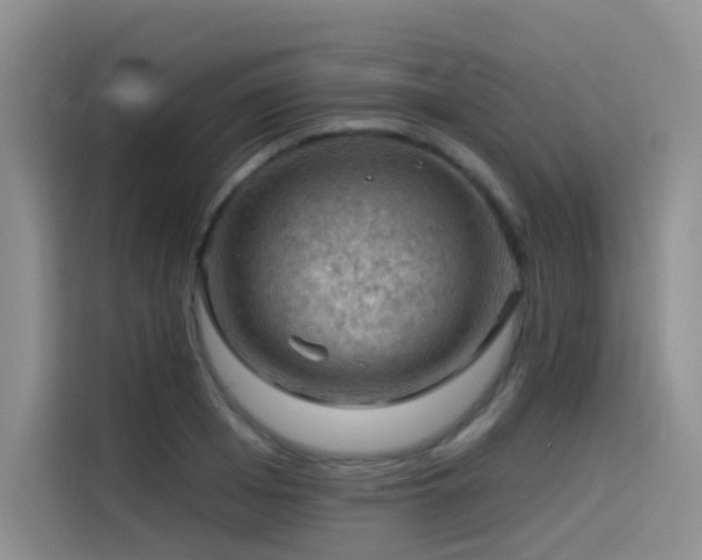 X0000114530985200910191318