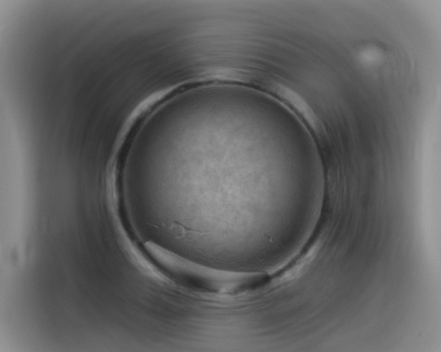 X0000114530987200910191318