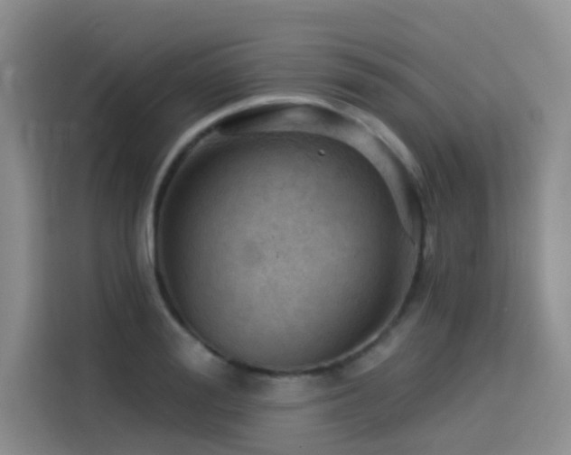 X0000114530988200910191318