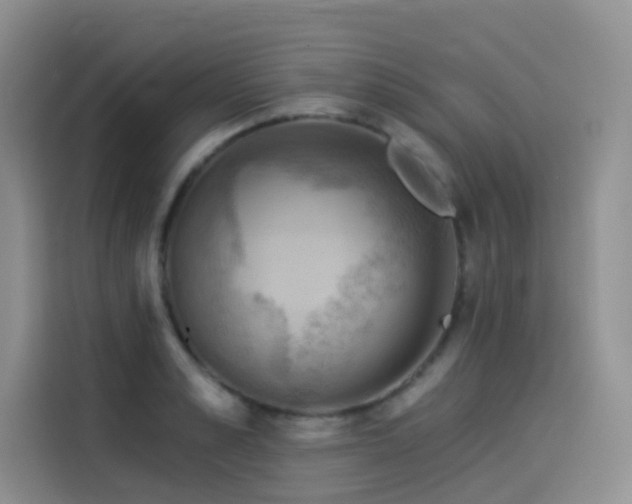X0000114530989200910191318