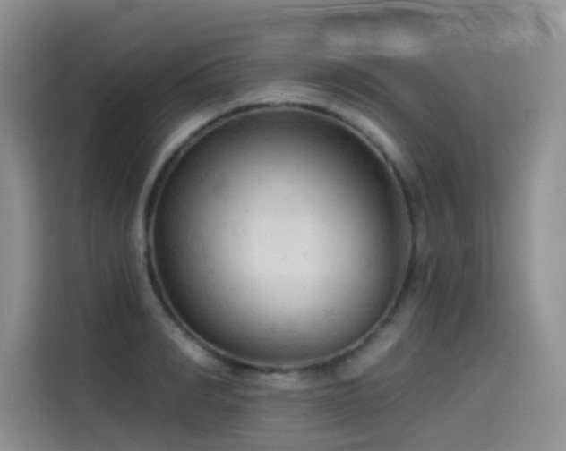 X0000114530990200910191318