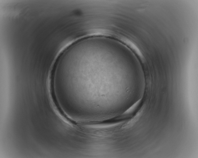 X0000114530991200910191318