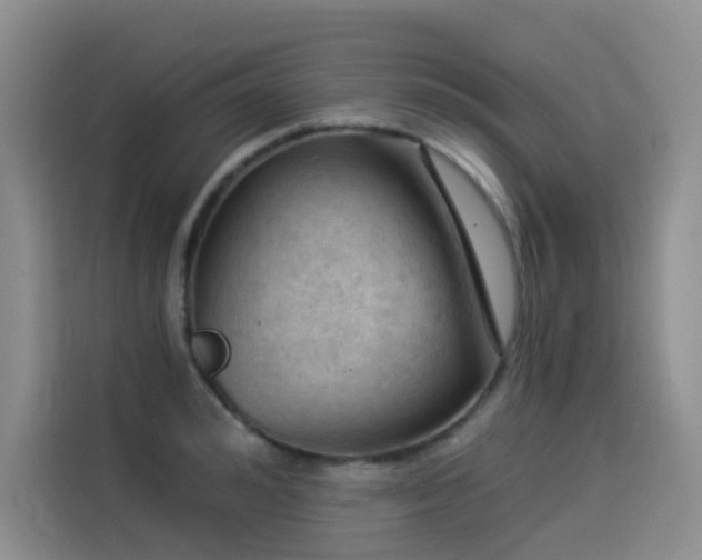 X0000114530992200910191318