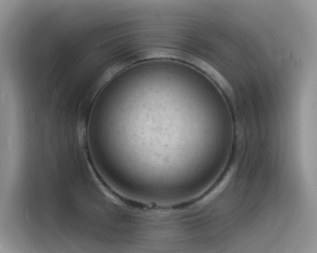 X0000114530993200910191318