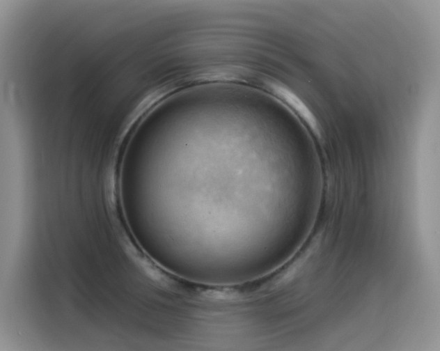 X0000114530994200910191318
