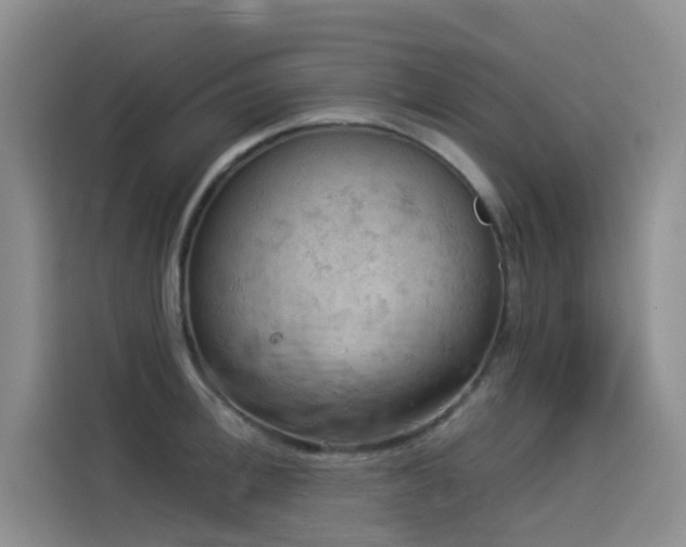 X0000114530996200910191318