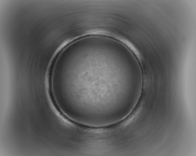 X0000114530999200910191318