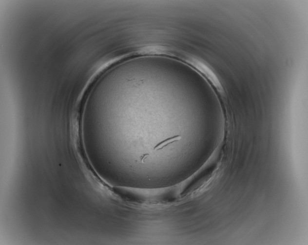 X0000114531000200910191318