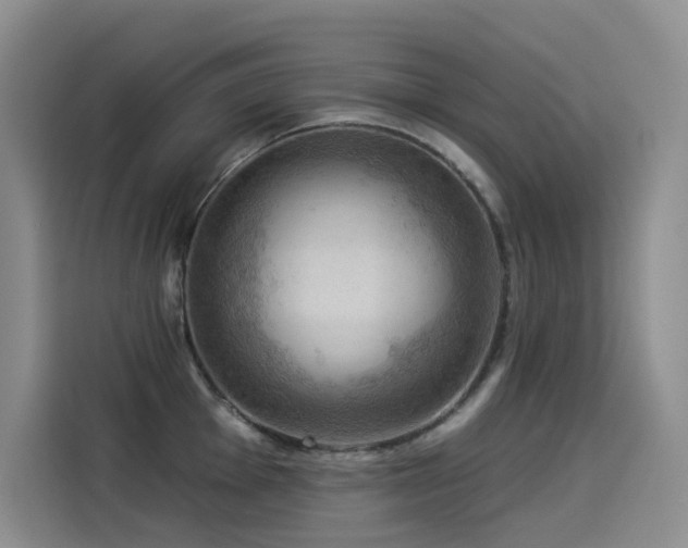 X0000114531001200910191318