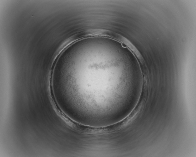 X0000114531002200910191318