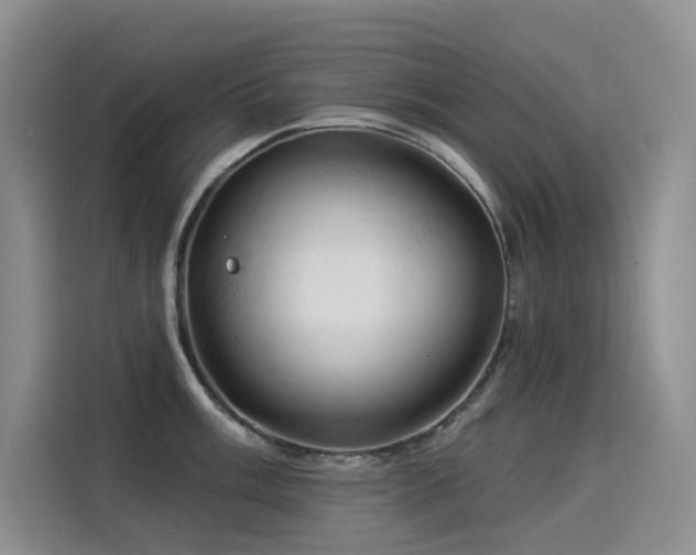 X0000114531003200910191318