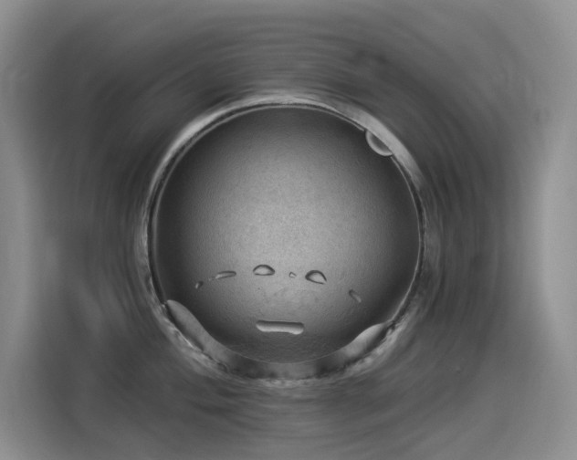 X0000114531004200910191318