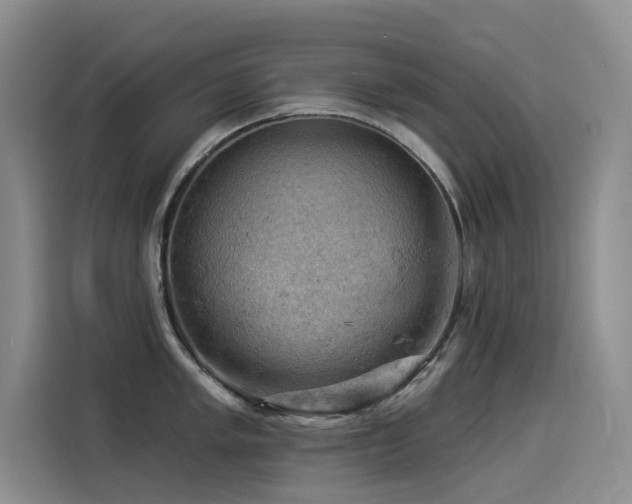X0000114531005200910191318
