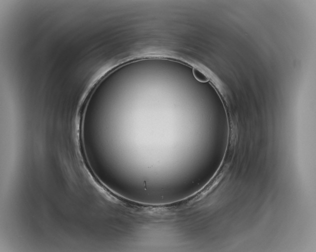 X0000114531006200910191318