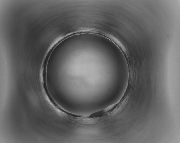 X0000114531007200910191318