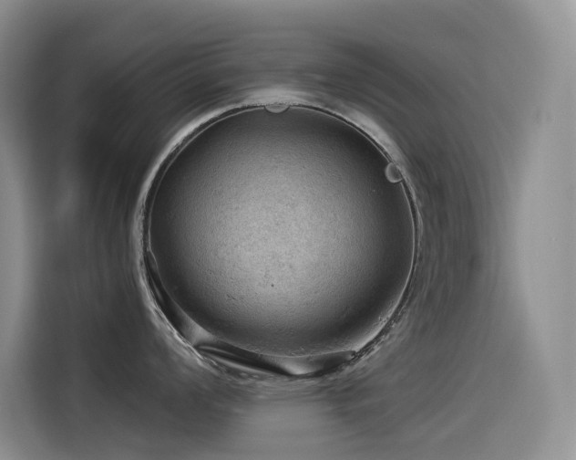 X0000114531008200910191318