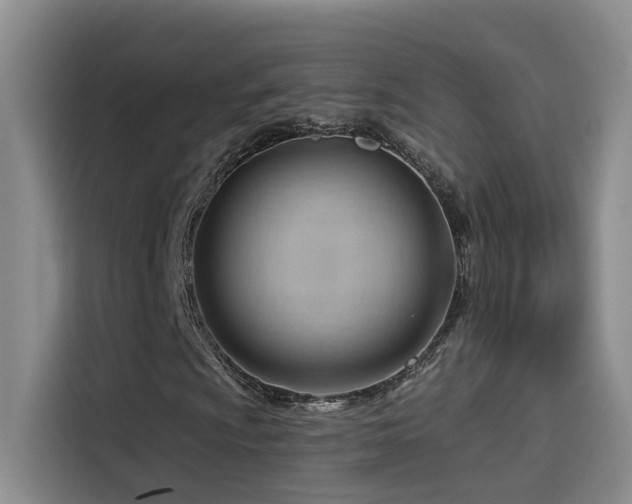 X0000114531009200910191317