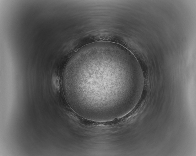 X0000114531010200910191317