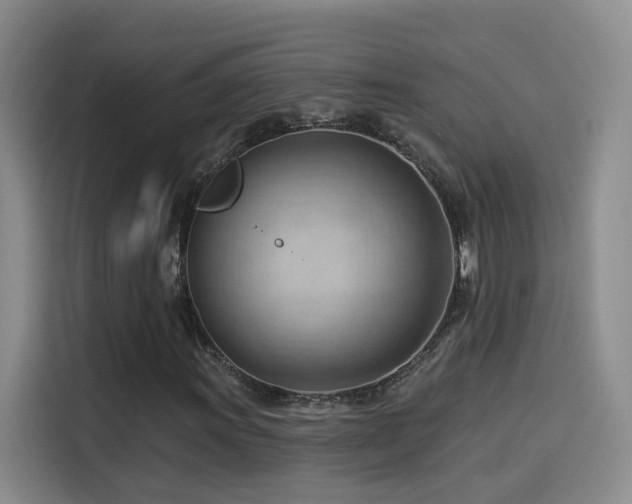 X0000114531011200910191317