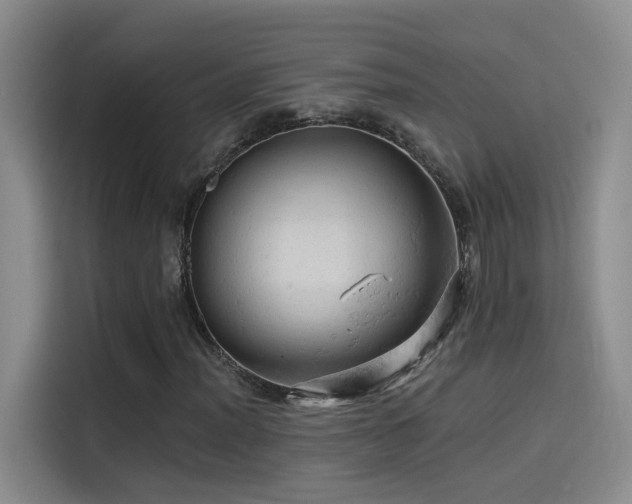 X0000114531012200910191317