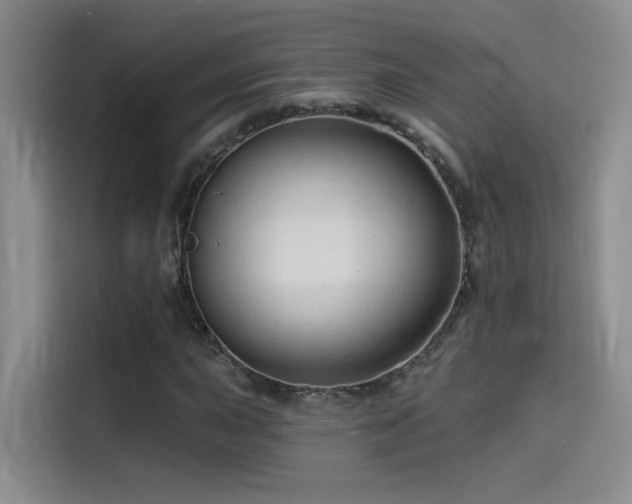 X0000114531015200910191317