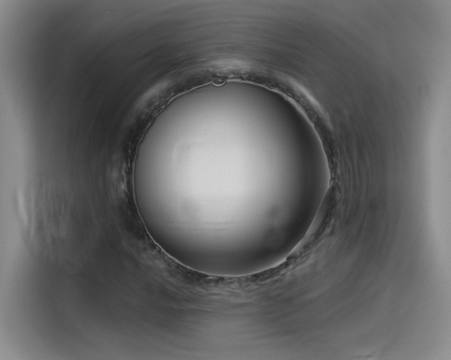 X0000114531016200910191317