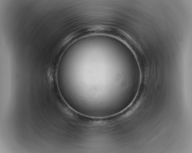 X0000114531017200910191317