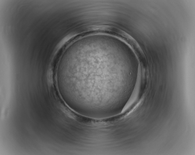 X0000114531019200910191317