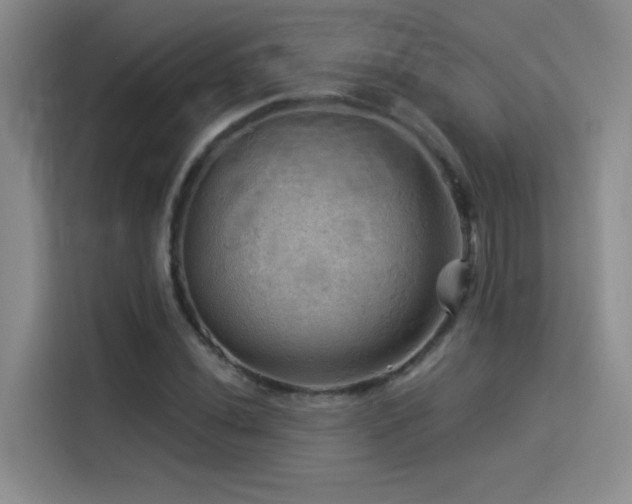 X0000114531020200910191317