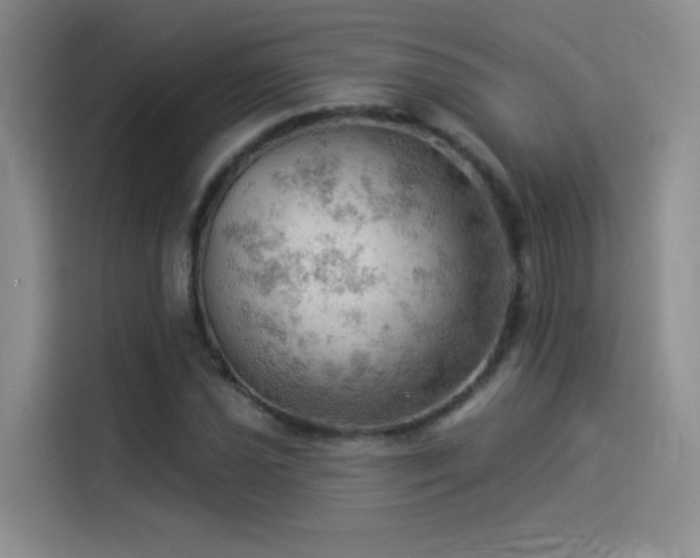 X0000114531021200910191317