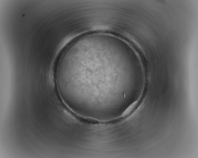 X0000114531022200910191317