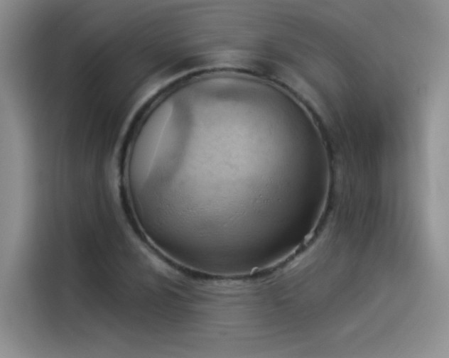 X0000114531024200910191317