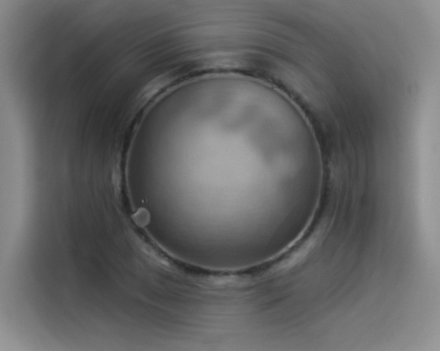 X0000114531025200910191317