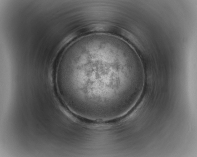 X0000114531026200910191317