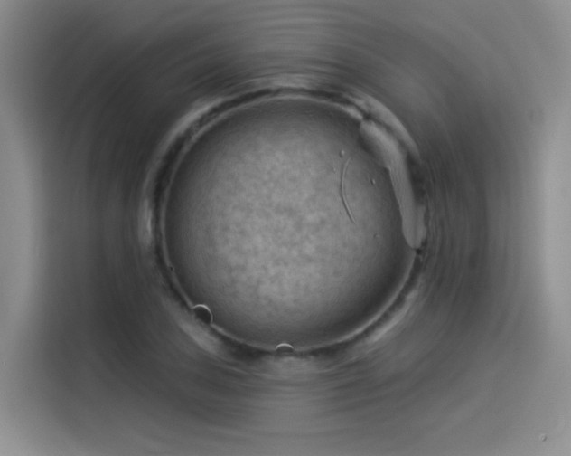 X0000114531027200910191318