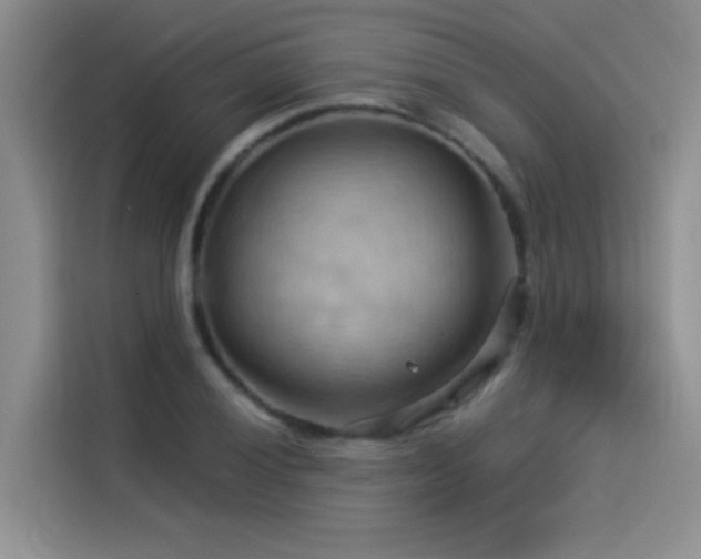 X0000114531028200910191318