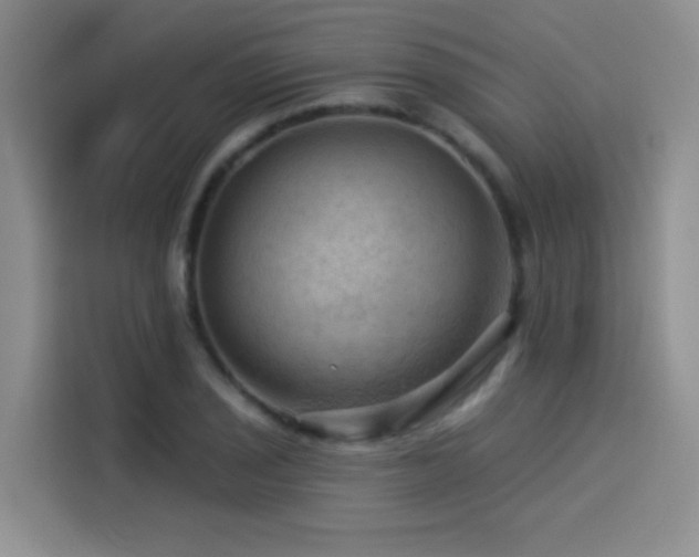 X0000114531029200910191318