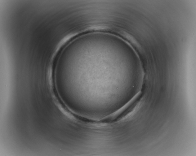 X0000114531030200910191318
