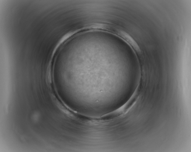 X0000114531036200910191318