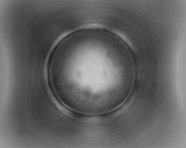 X0000114531038200910191318