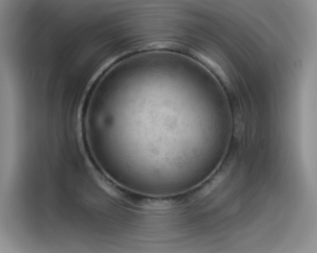 X0000114531039200910191318