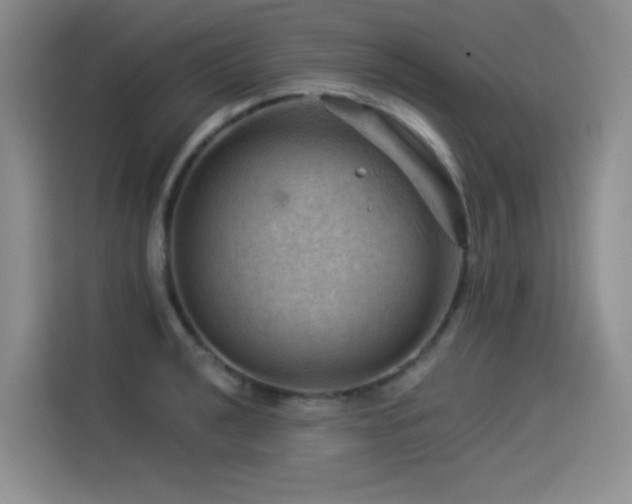 X0000114531040200910191318