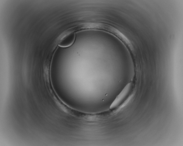 X0000114531041200910191318