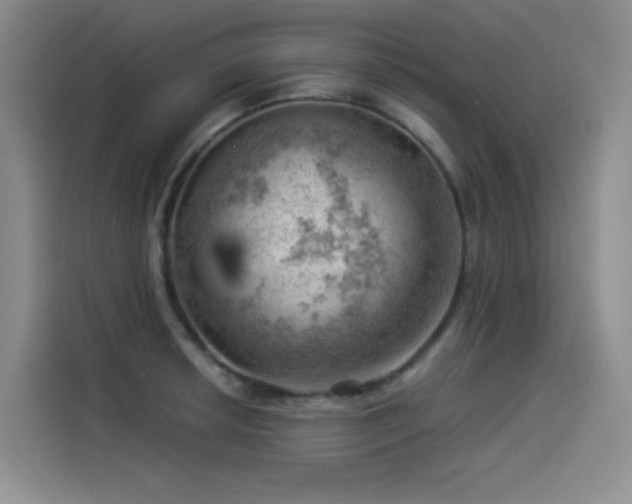 X0000114531042200910191318
